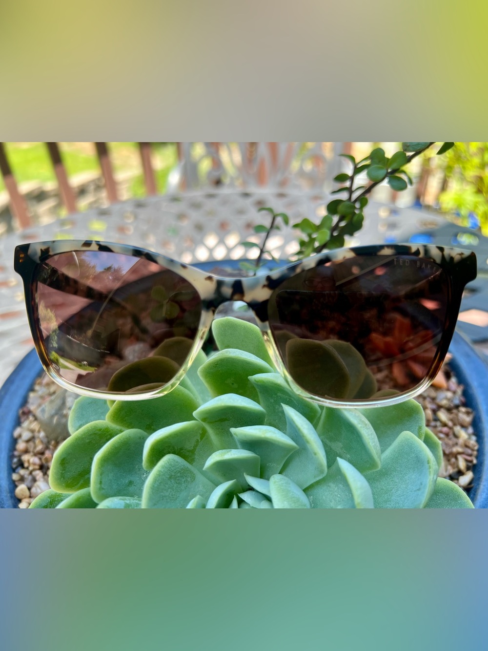 Ted Baker Tortoiseshell Women’s Sunglasses - Brown Lenses
